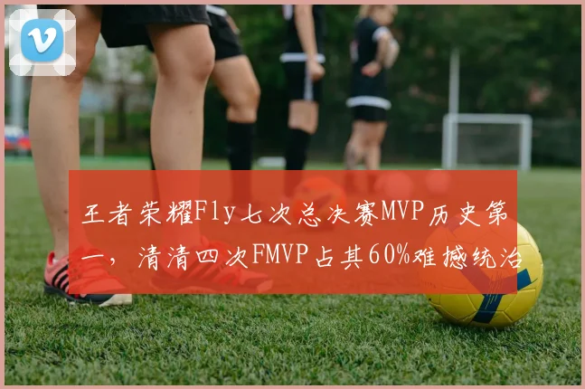 王者荣耀Fly七次总决赛MVP历史第一，清清四次FMVP占其60%难撼统治地位__br_