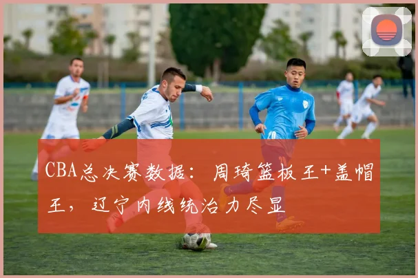 CBA总决赛数据:周琦篮板王+盖帽王,辽宁内线统治力尽显